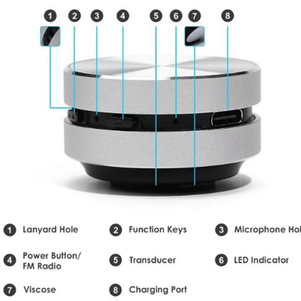 The Anything Speaker